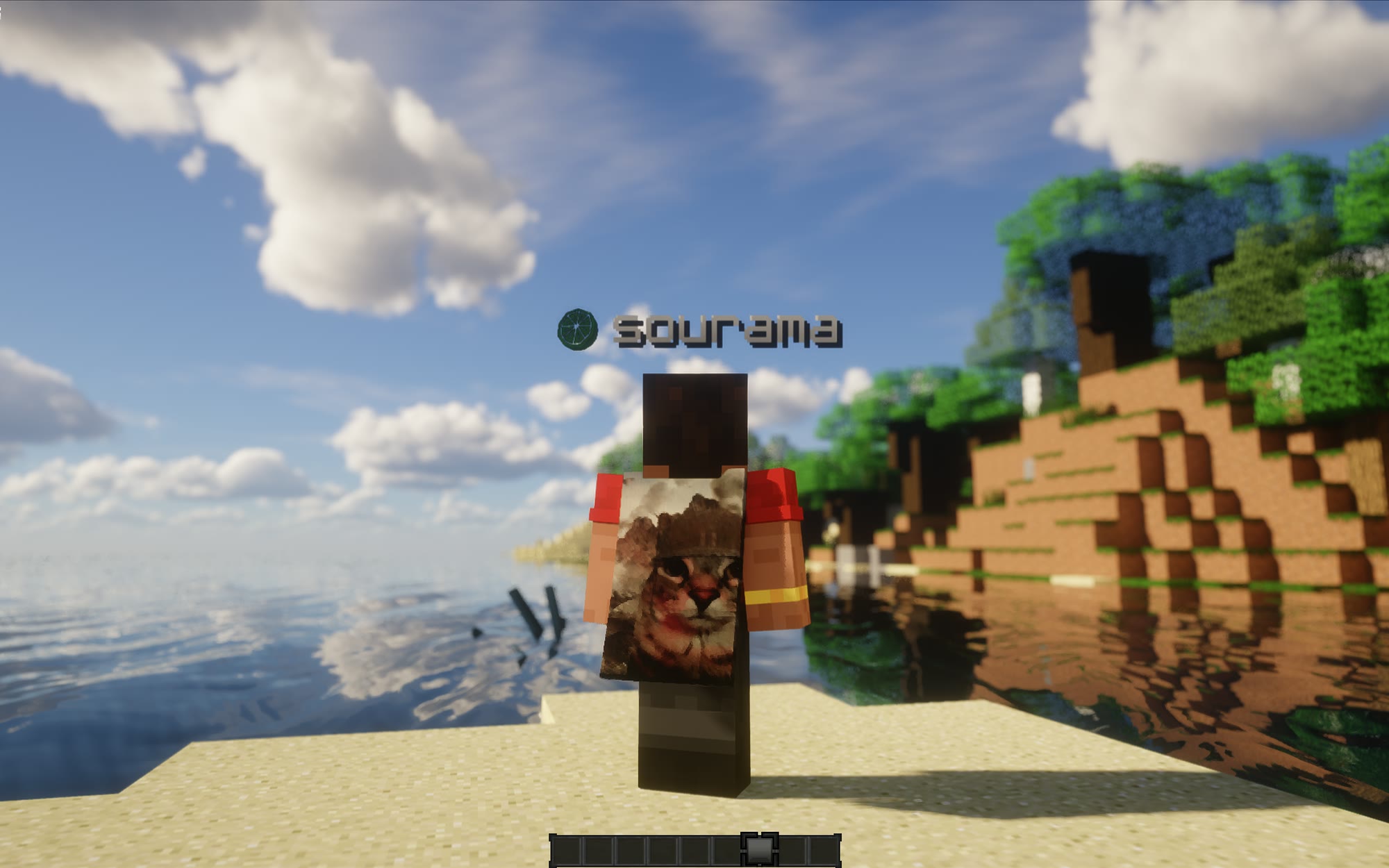 A custom image cape worn in-game