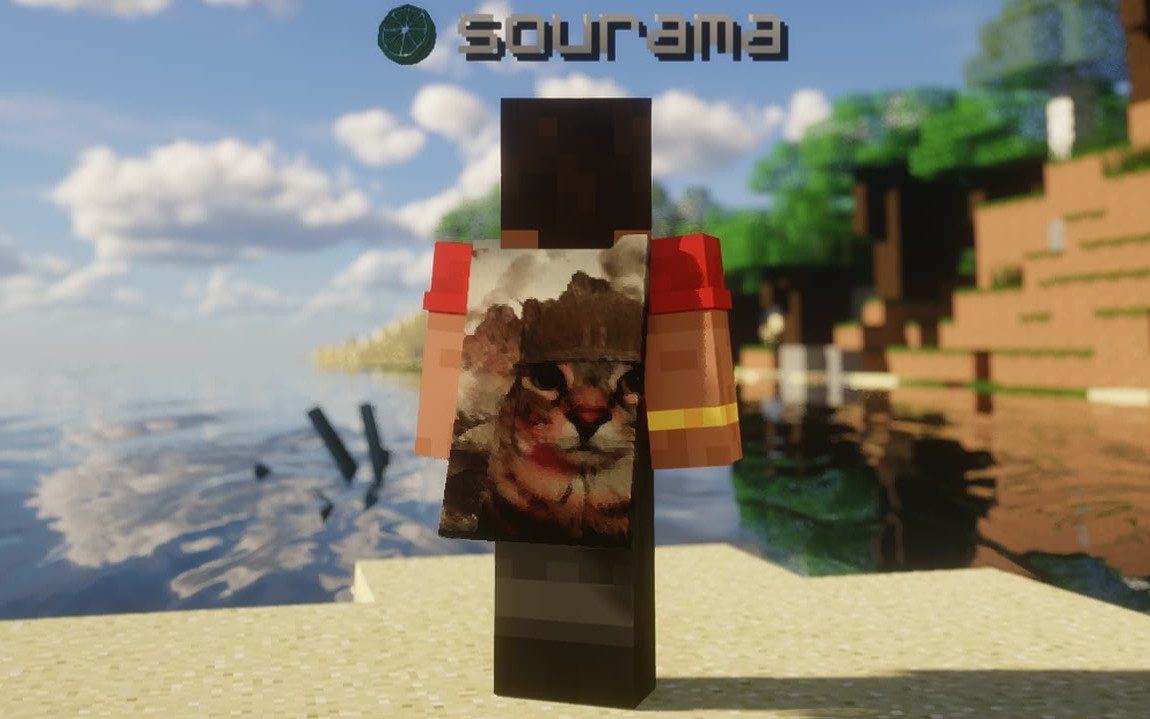 A Minecraft player wearing a cloak made from an image they uploaded